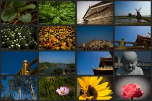 2011春遊台南都