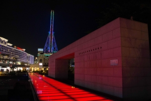 650D+18-55，義大世界夜拍