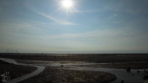 伸港海灘隨拍~ by 守豐