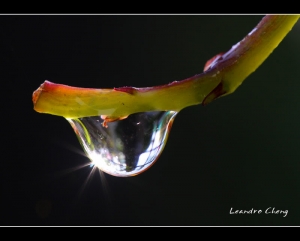 雨滴 - Leandro