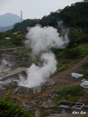 陽明山走春