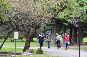 您有多久沒給爸爸背背呢