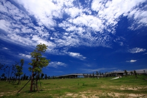 台南都會公園