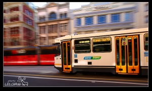 墨爾本特產:路面電車 追焦篇