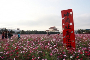 默默無名的花海
