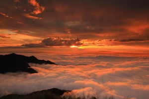 高山雲海季開跑！