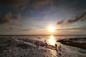 我的夏天收集冊