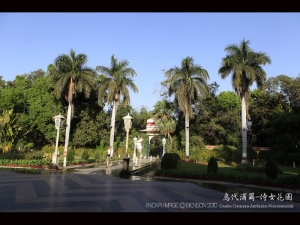 2010 北印漫旅 - 烏代浦爾 - 侍女花園 & 傑狄士寺 (Day 7~8)