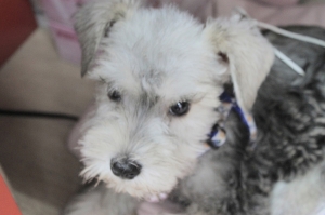 我家烏米搞笑記~