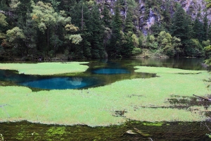 你看到了幾顆心?