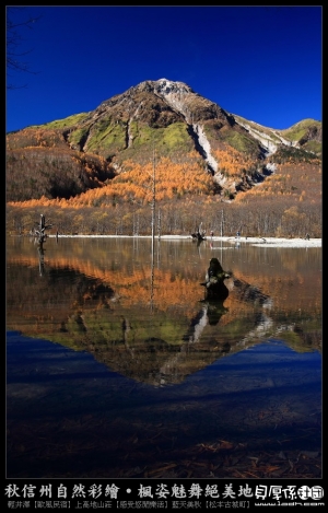 ★★★★【---旅行精選---】★★★★