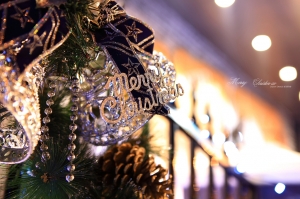 Merry Christmas 2009 In Taichung