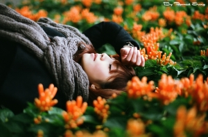 Flowering Season-FiFi