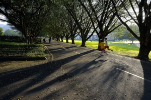 三育光影 - 雜工