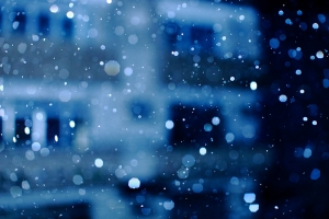 梅雨後，週末前，踩水漥