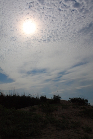 沙崙海灘隨手拍！