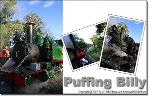 (旅遊攝影) 墨爾本 - 普芬比利蒸氣火車 Puffing Billy Railway
