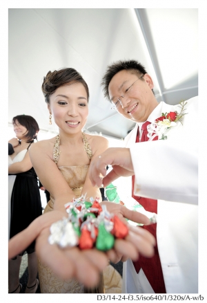 D3婚禮紀錄