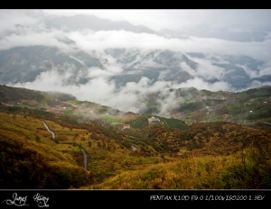 一個人的旅終。合歡冬景