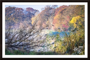 ::: An Autumn Morning 秋晨 by DV :::