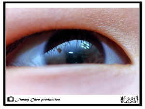 另類微距~~你眼中認真的我~~BY 好攝客