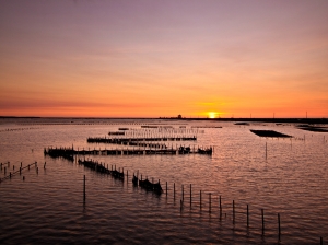 オイスターラック（ブラックカードの作品）