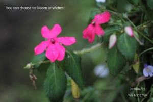 你可以低落，但不能墮落。（心情轉換篇）