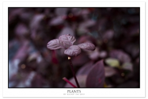 散到那兒去 - 35 IS