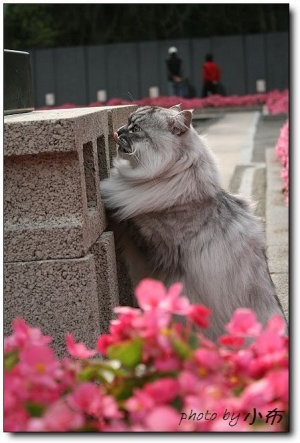 老大in國父紀念館