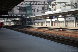 侯硐貓咪一日遊