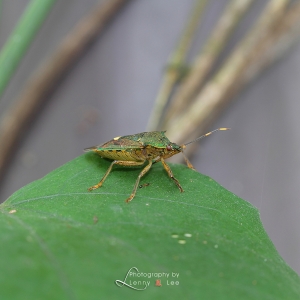 我的第一次 by Lenny