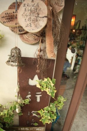 山行玫瑰 & 南庄老街一日遊