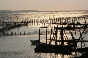 20111022七股夕照