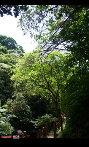 五旗峰瀑布隨拍!