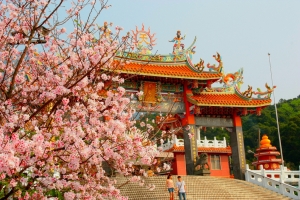 新手也來天元宮一下