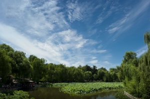 2012.07.22 北京61年一遇暴雨后的紫竹苑~~