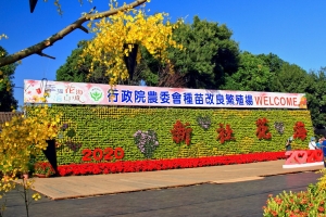 2020新社花海 暨 臺中國際花毯節