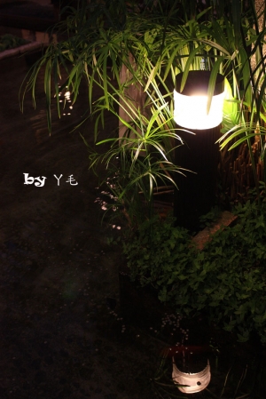 夜之豐樂