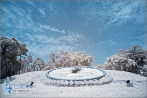 青年公園‧半IR