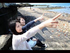 嬉遊北海岸