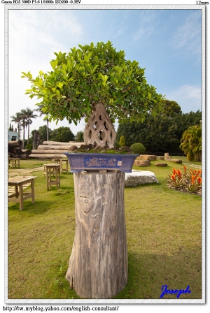 萬景(中) - 好野人的花園