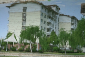 五月一日放假日,曬太陽兼亂拍