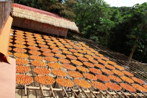 味衛佳柿餅搶先看