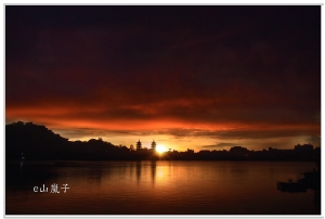 蓮池潭金黃夕景