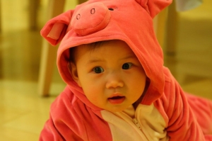 超可愛的小豬喔~~~