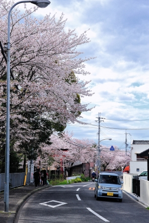 大阪京都自主行：日根神社、空港新城 - 雜工