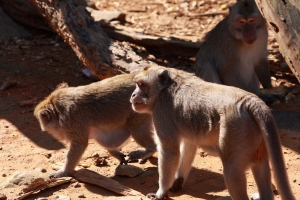 新竹動物園隨拍
