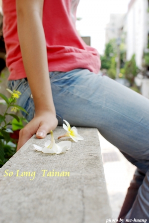 So Long Tainan by 小魚