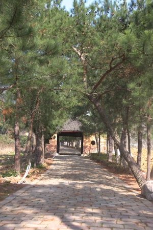 天童寺の秋ツアー