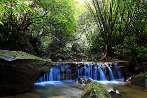 2010 土城龍泉溪 斜射光(龍泉伏虎石意外現身)
